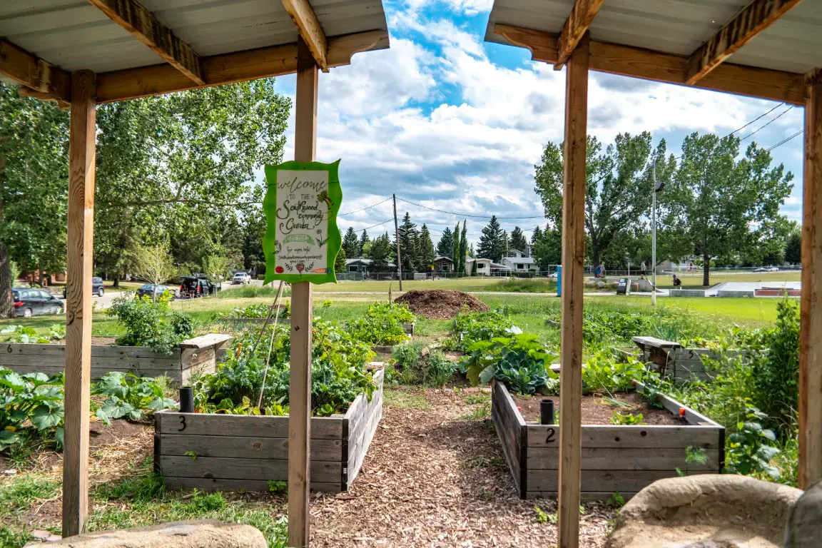 Southwood community scene 1